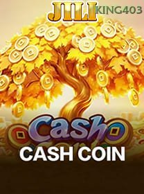 Cash Coin icon
