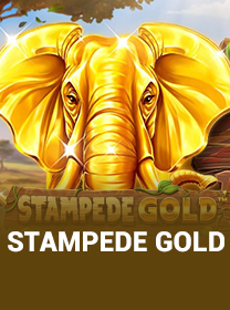 Review Game Stampede Gold Terlengkap untuk Pemula banner